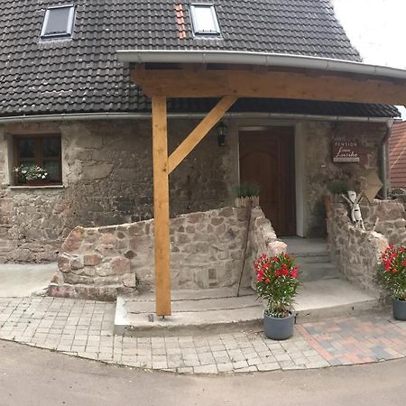 Pension Casa Luciko Brachwitz Exterior foto